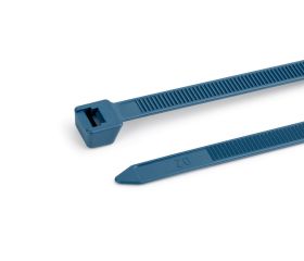 BN-DT [CP] Brida detectable. Azul