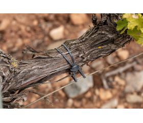 GO-AN [CP] Goma ancla de caucho 100% sintético