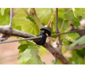 GO-AN [CP] Goma ancla de caucho 100% sintético