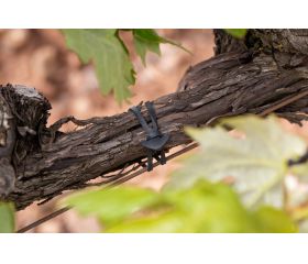 GO-AN [CP] Goma ancla de caucho 100% sintético