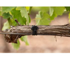 GO-AN [CP] Goma ancla de caucho 100% sintético