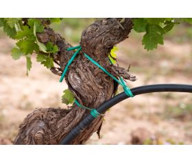 MC-MA [CP] Macarrón para entutorar. Hilo de plástico tubular flexible para atado manual. Madeja de 2kg