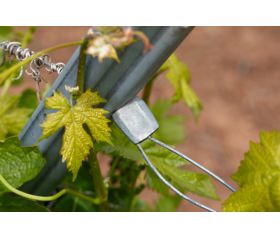 TA-TF [CP] Tensores y conectores de alambre para espalderas de viñedos, cultivos arbóreos, cercados ganaderos, etc…. Tensor final de linea 1 canal para la terminación de los alambres a los postes