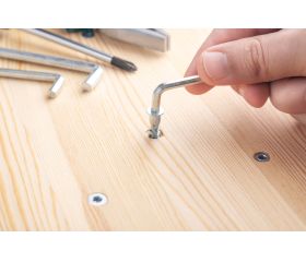 TRE-Z [CP] Tornillo de ensamblar. Zincado