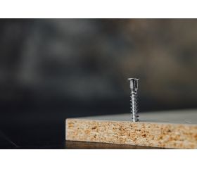 TRE-Z [CP] Tornillo de ensamblar. Zincado