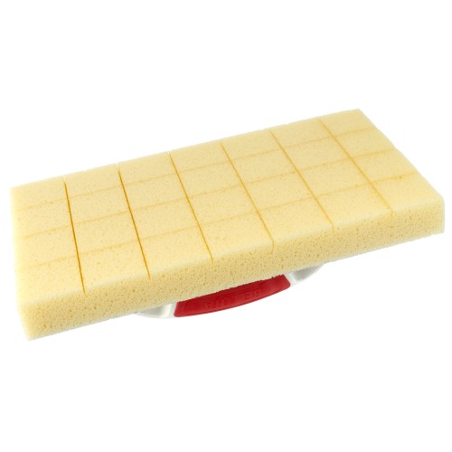 Talocha limpieza con cortes de gran absorción / 5888PEC