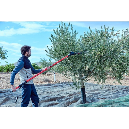 Vareador de aceitunas Cigüeña  con 2 velocidades