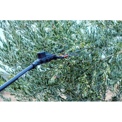 Vareador de aceitunas Colibrí con 3 velocidades VA1PRO
