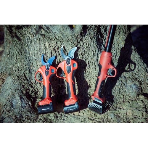 Pértiga extensible hasta 2,2m compatible con las tijeras eléctricas a batería  de la primera generación/ EPP1EXTP