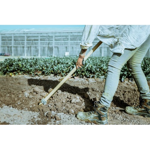 Azada forjada con sistema antigiro,  especial para el cultivo de la patata, modelo Galicia / HOE72