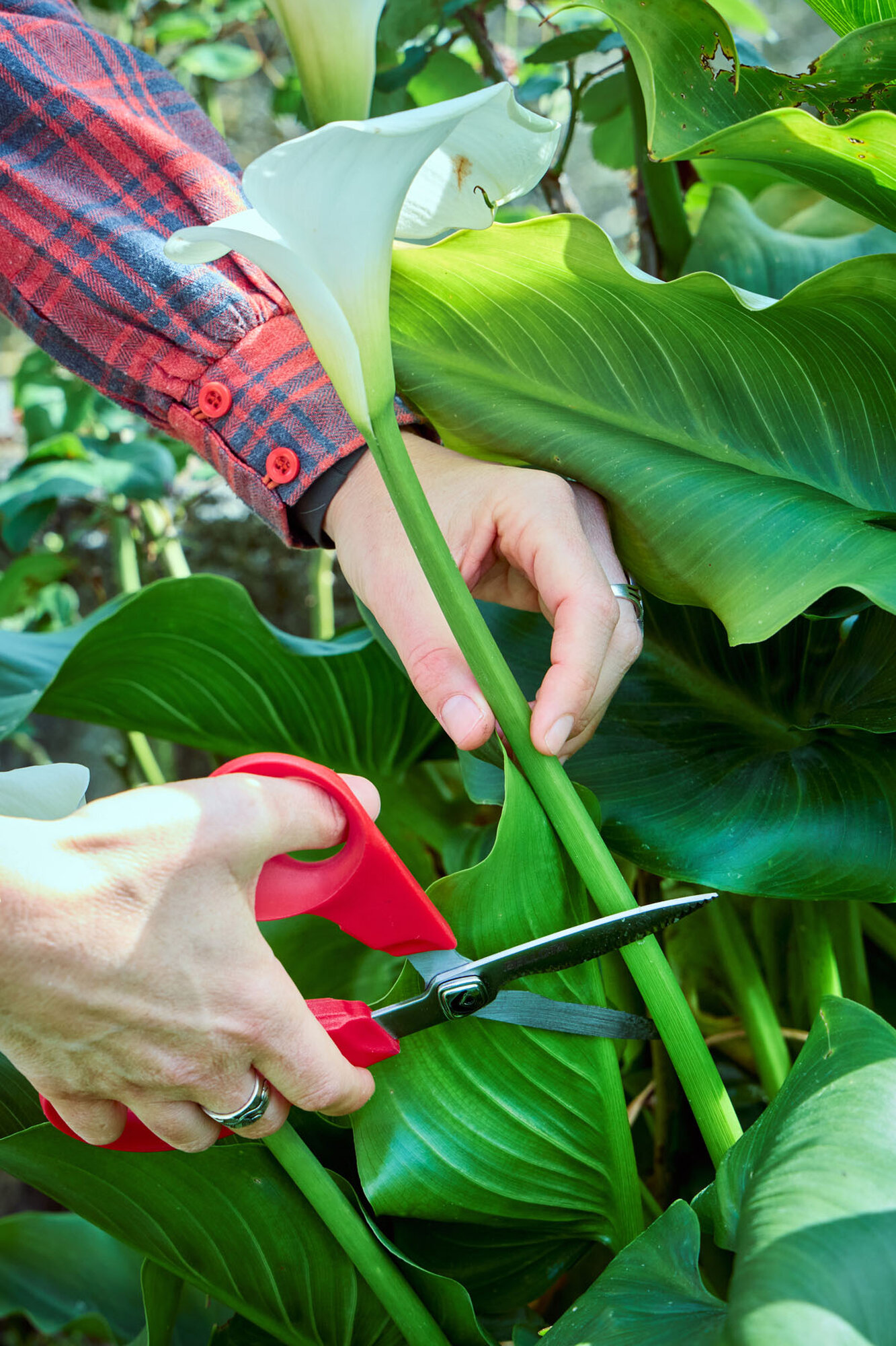 Tijera multiusos inox mangos ComfortGel / 3406