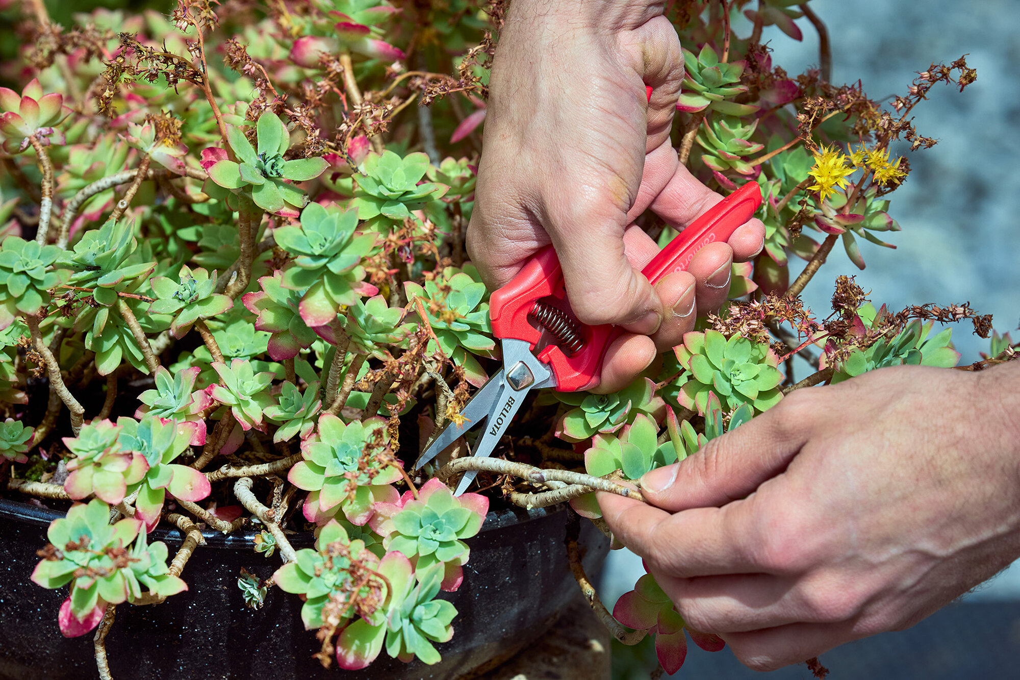 Tijera de detalles y cortes delicados inox ComfortGel/3407