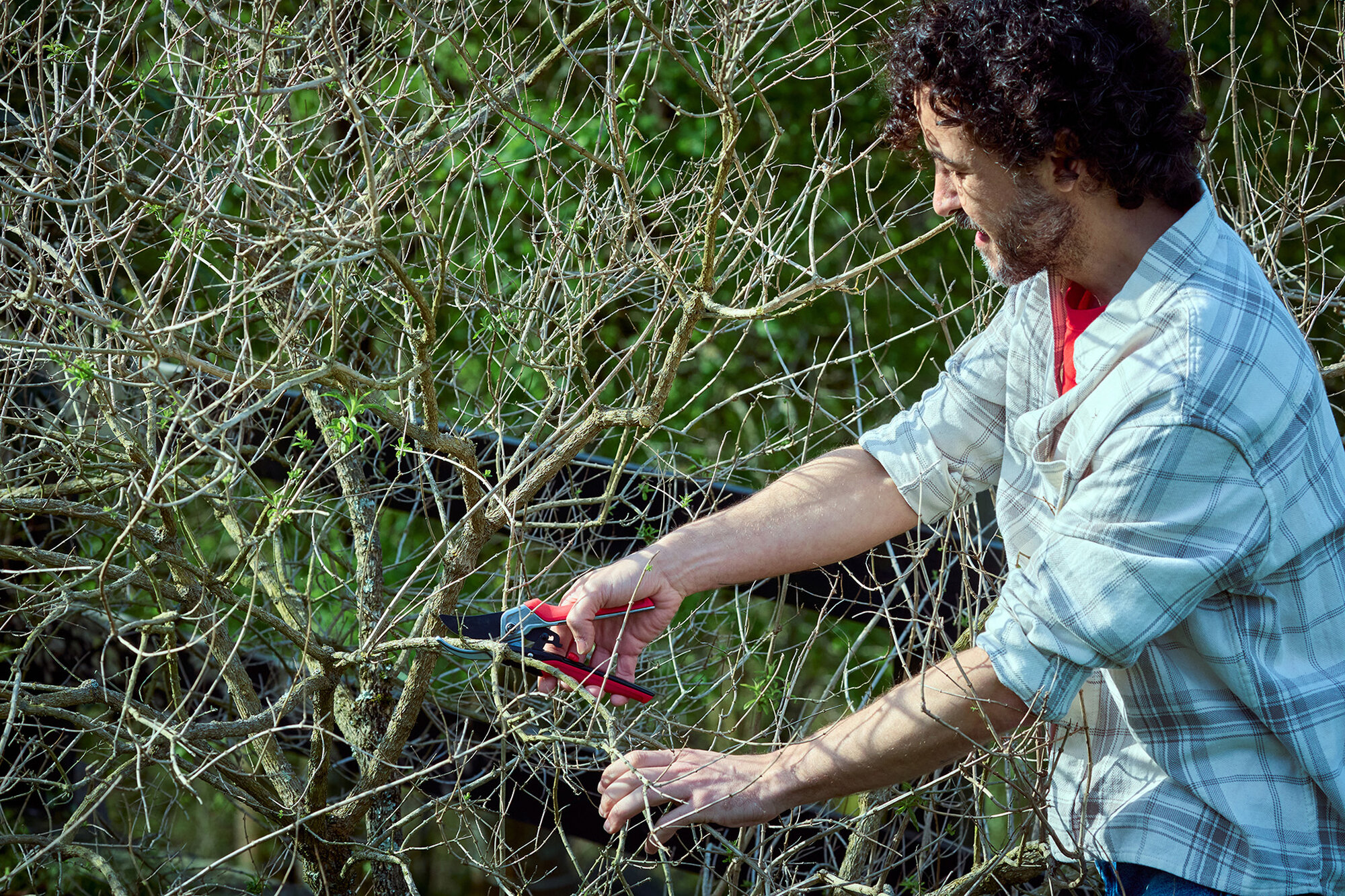 Tijera RatchetCut facilitador del corte mangos ComfortGel / 3411