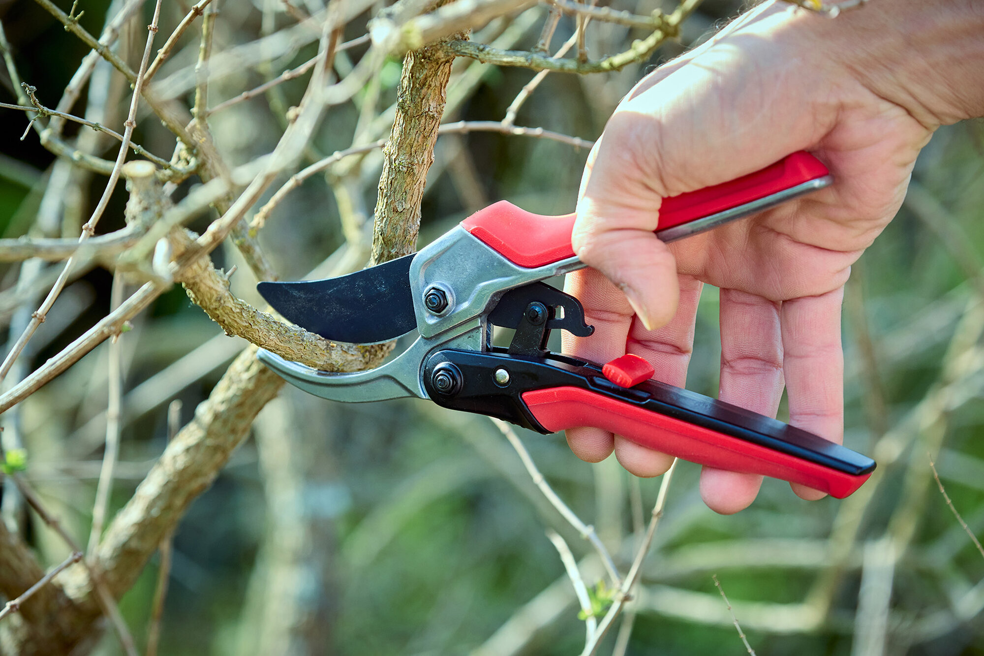 Tijera RatchetCut facilitador del corte mangos ComfortGel / 3411