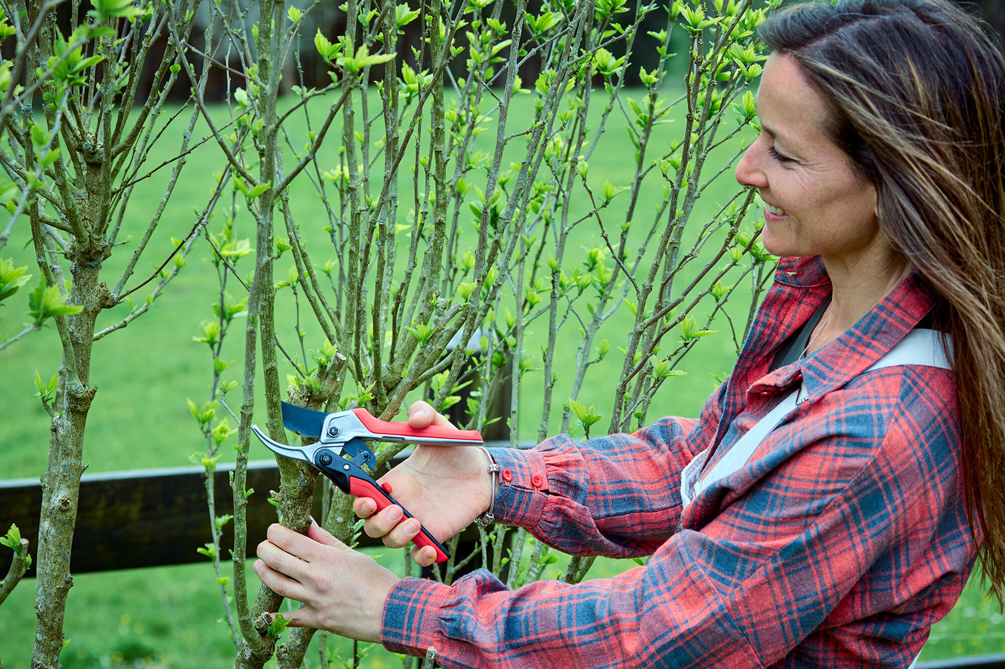 Tijera RatchetCut facilitador del corte mangos ComfortGel / 3411