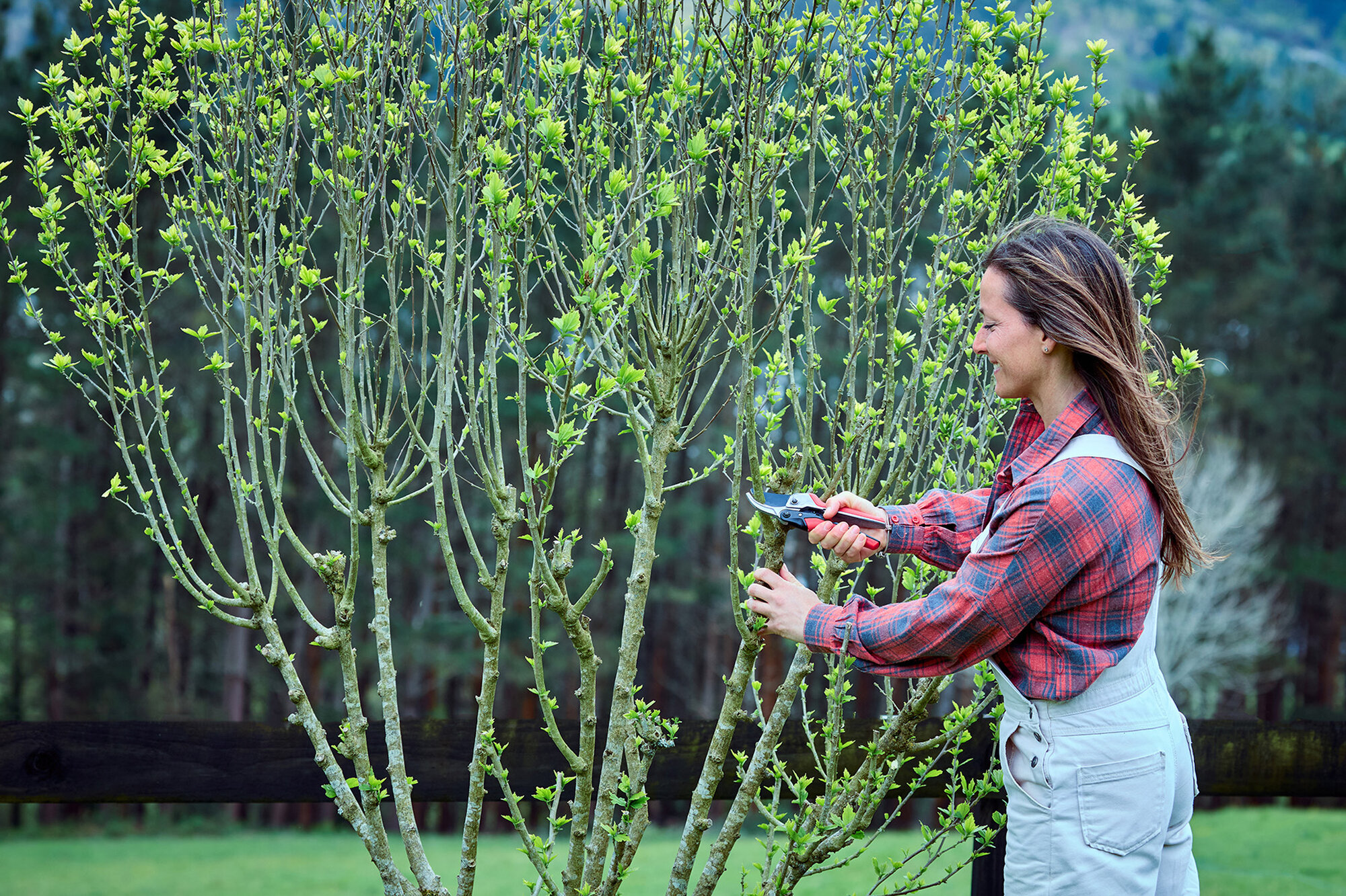 Tijera RatchetCut facilitador del corte mangos ComfortGel / 3411