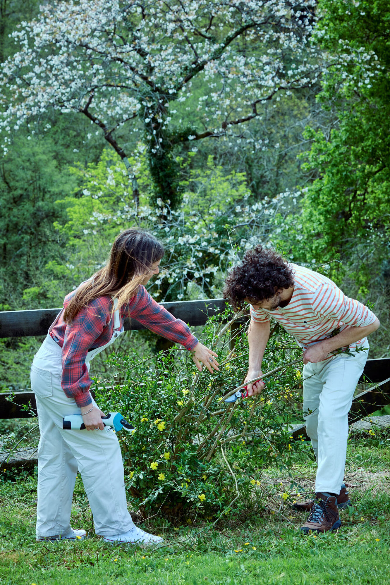 Tijera de una mano forjada doble ángulo de corte / 3414