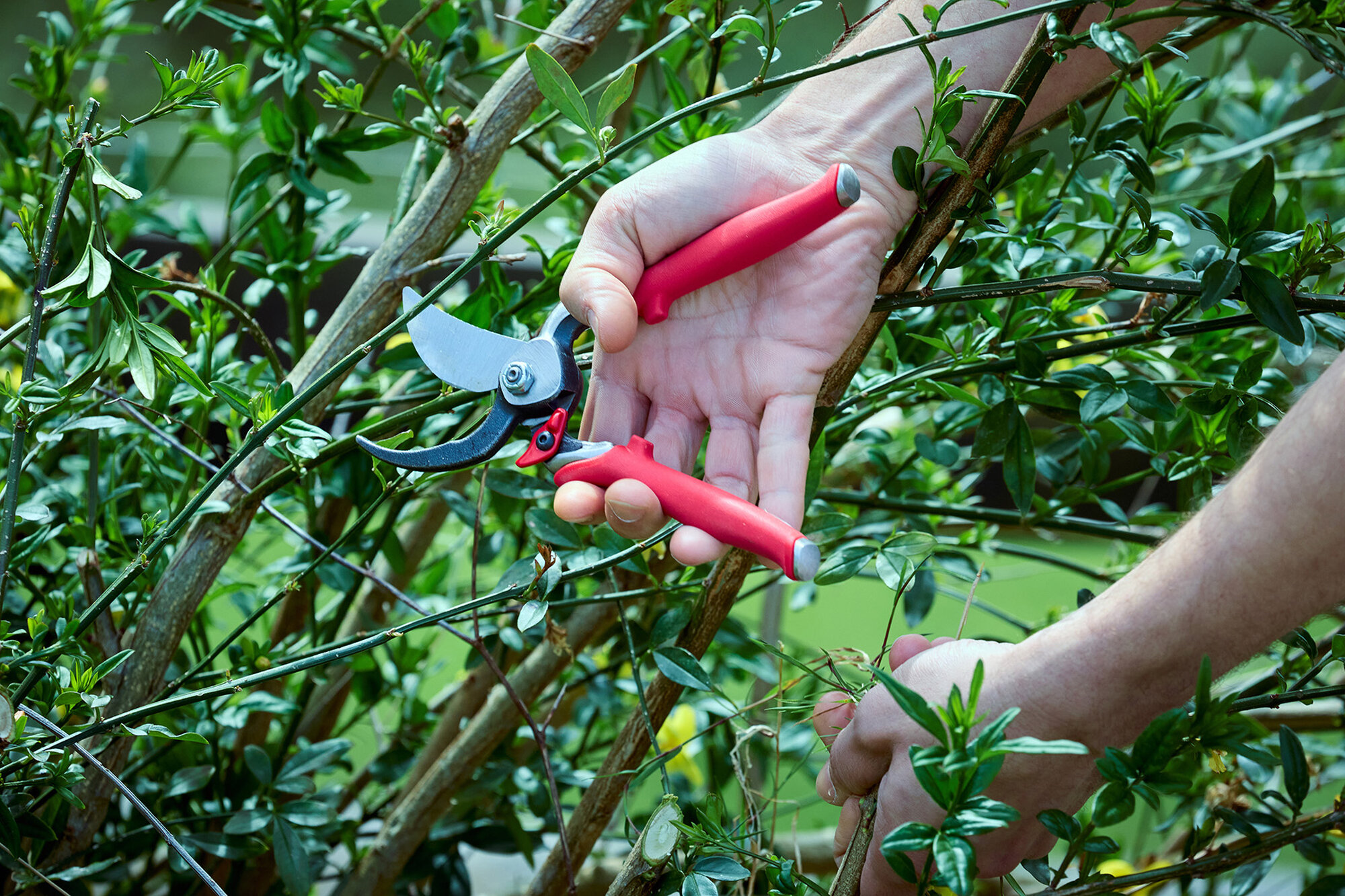 Tijera de una mano forjada doble ángulo de corte / 3414