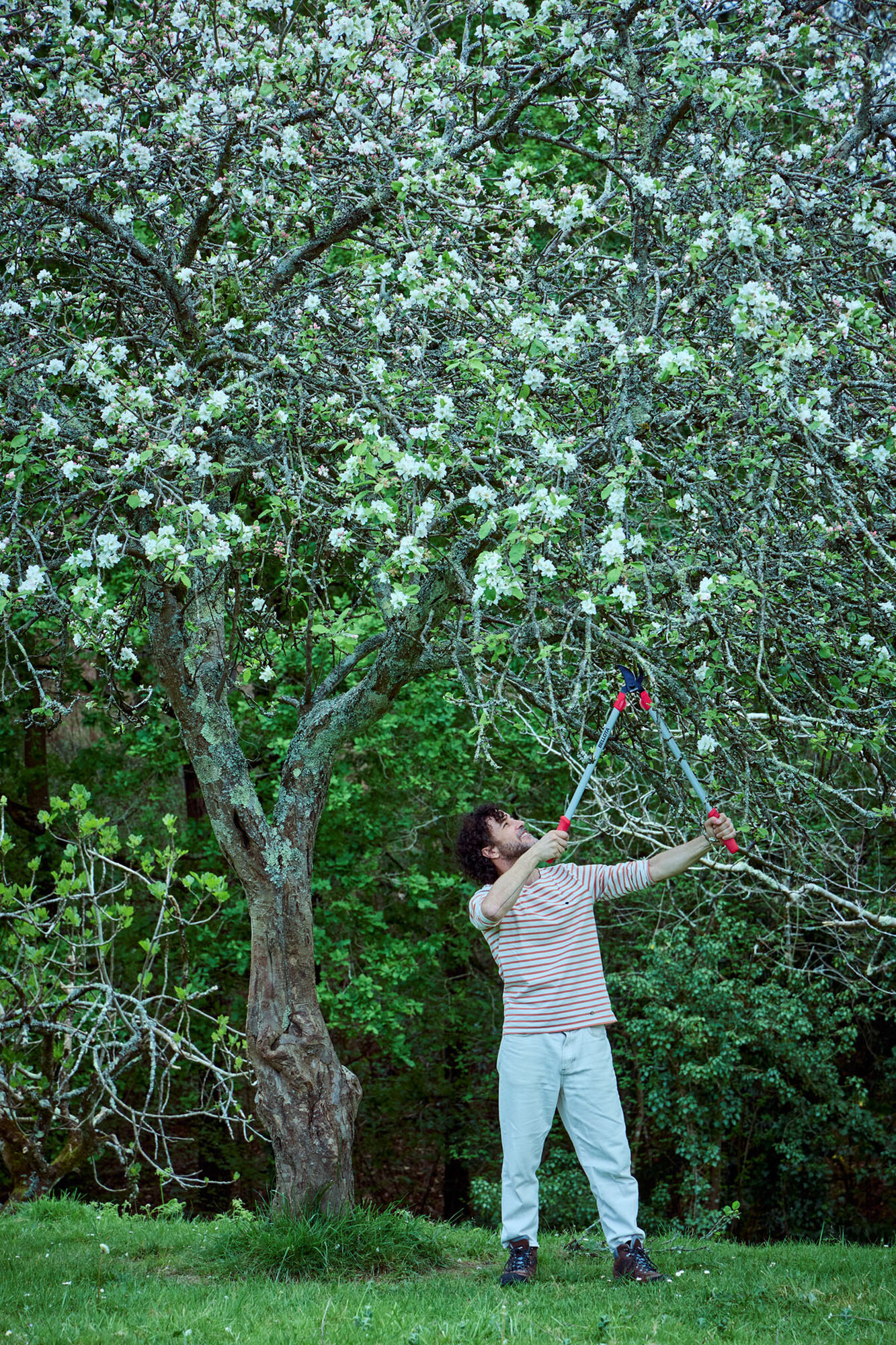 Tijera de dos manos con mangos Confort Gel -75cm / 345075