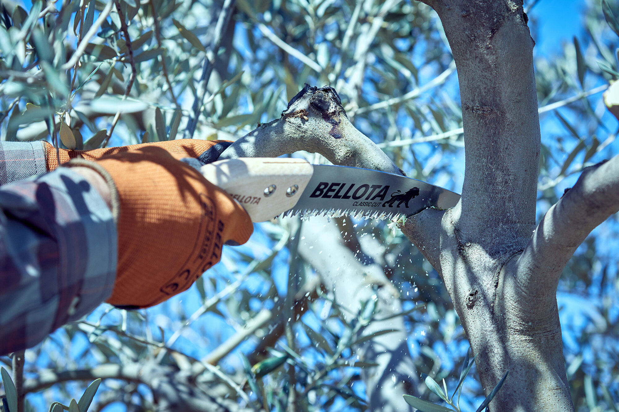 Serrucho León con hoja curva de 11" y mango de madera recto. Incluye funda / 450MR11