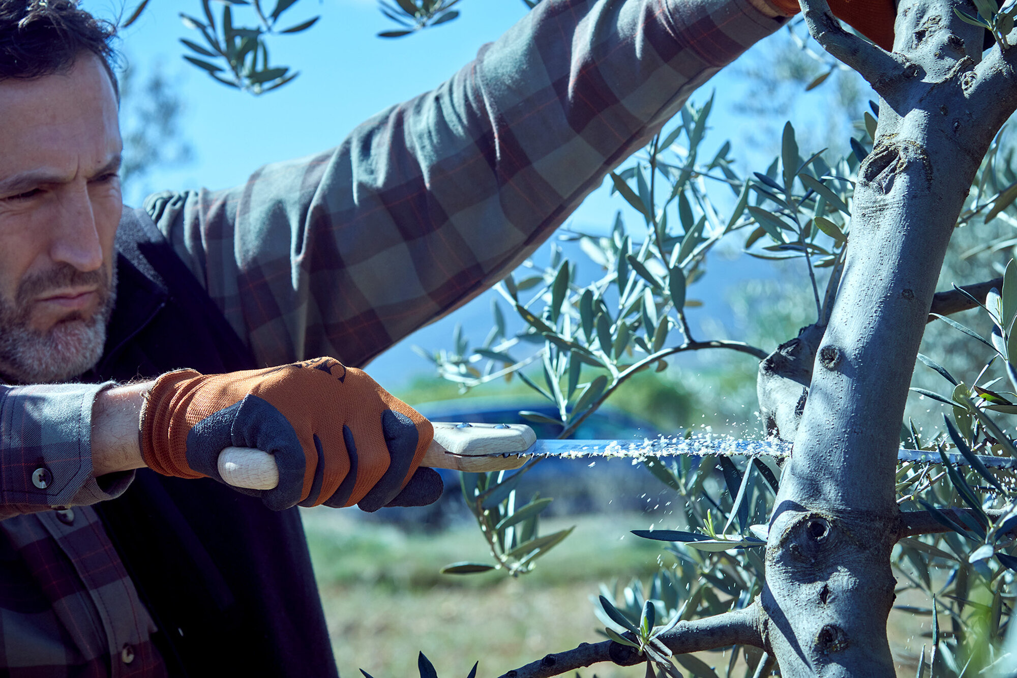 Serrucho León con hoja curva de 11" y mango de madera recto. Incluye funda / 450MR11