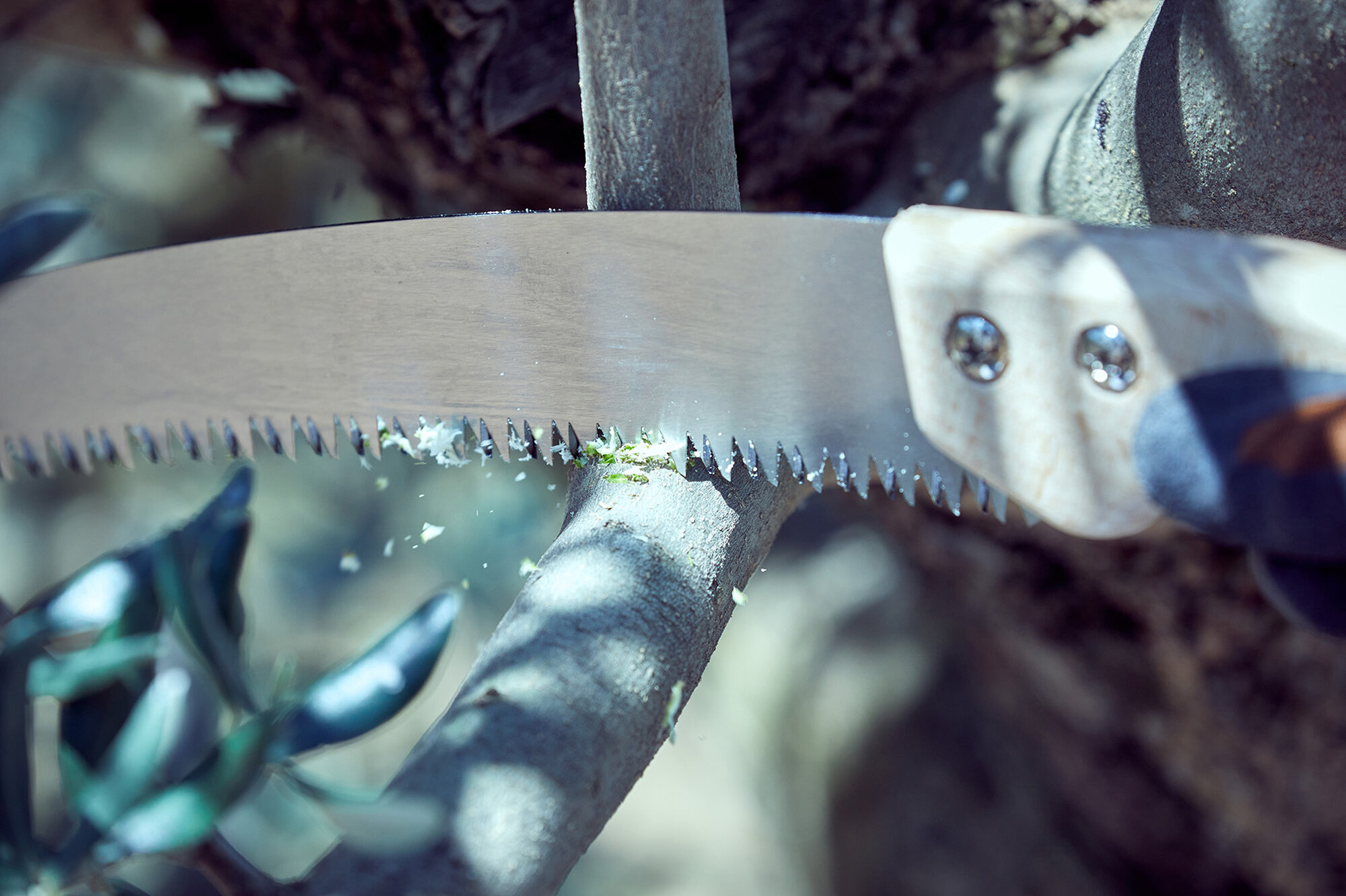 Serrucho León con hoja curva de 13" y mango de madera recto. No incluye funda / 450MR13SF