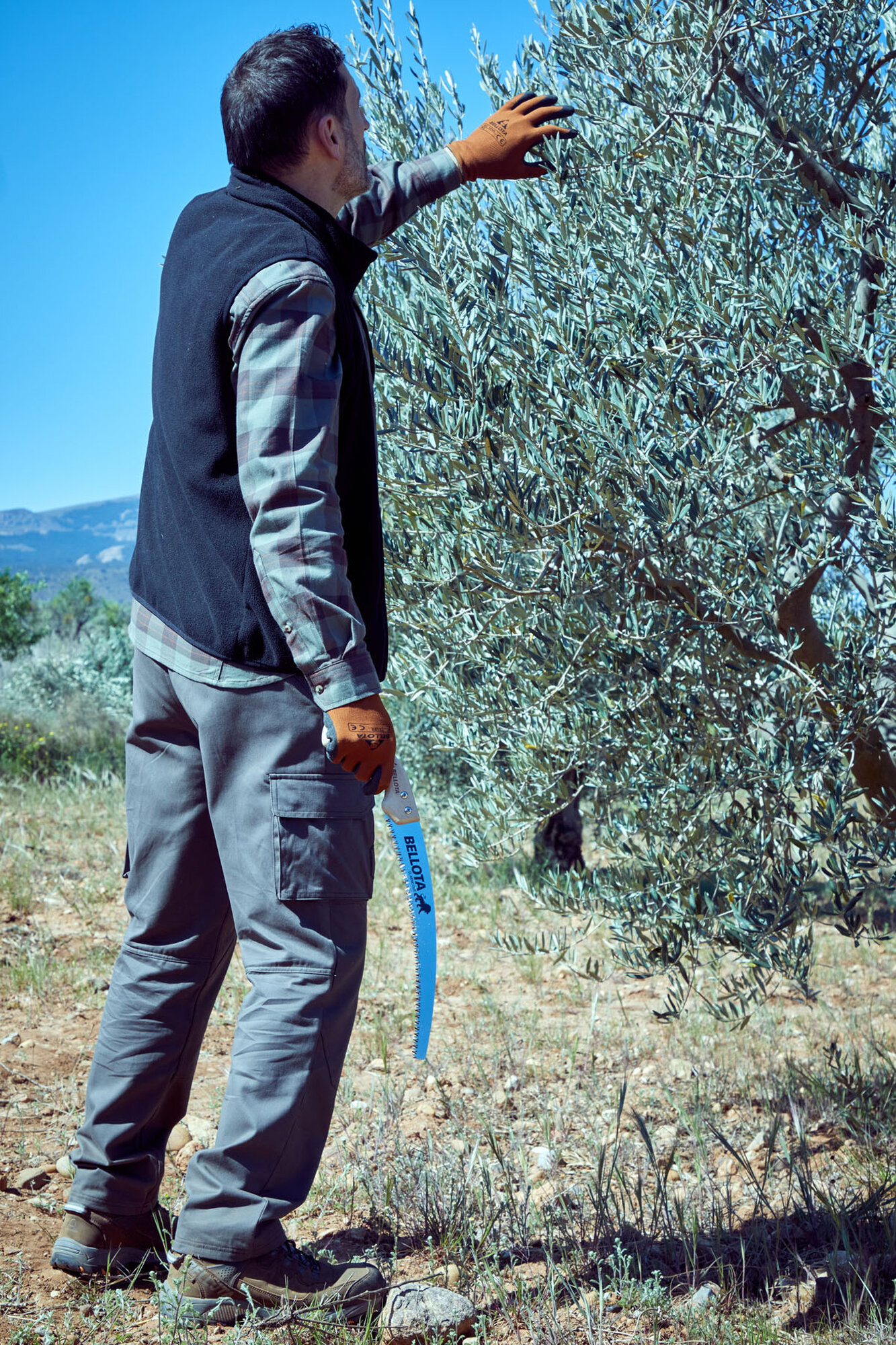 Serrucho León con hoja curva de 13" y mango de madera recto. No incluye funda / 450MR13SF