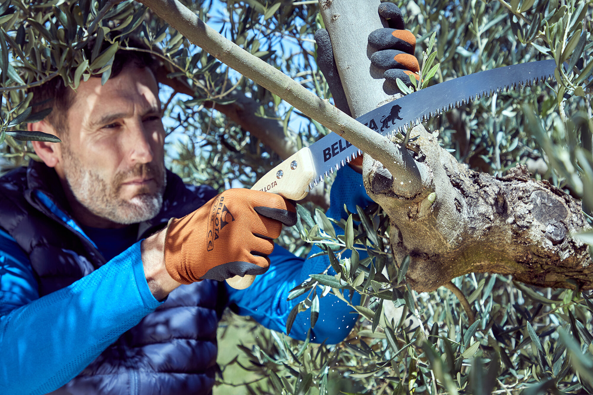 Serrucho León con hoja curva de 11" y mango de maderacurvo. Incluye funda / 450MC11