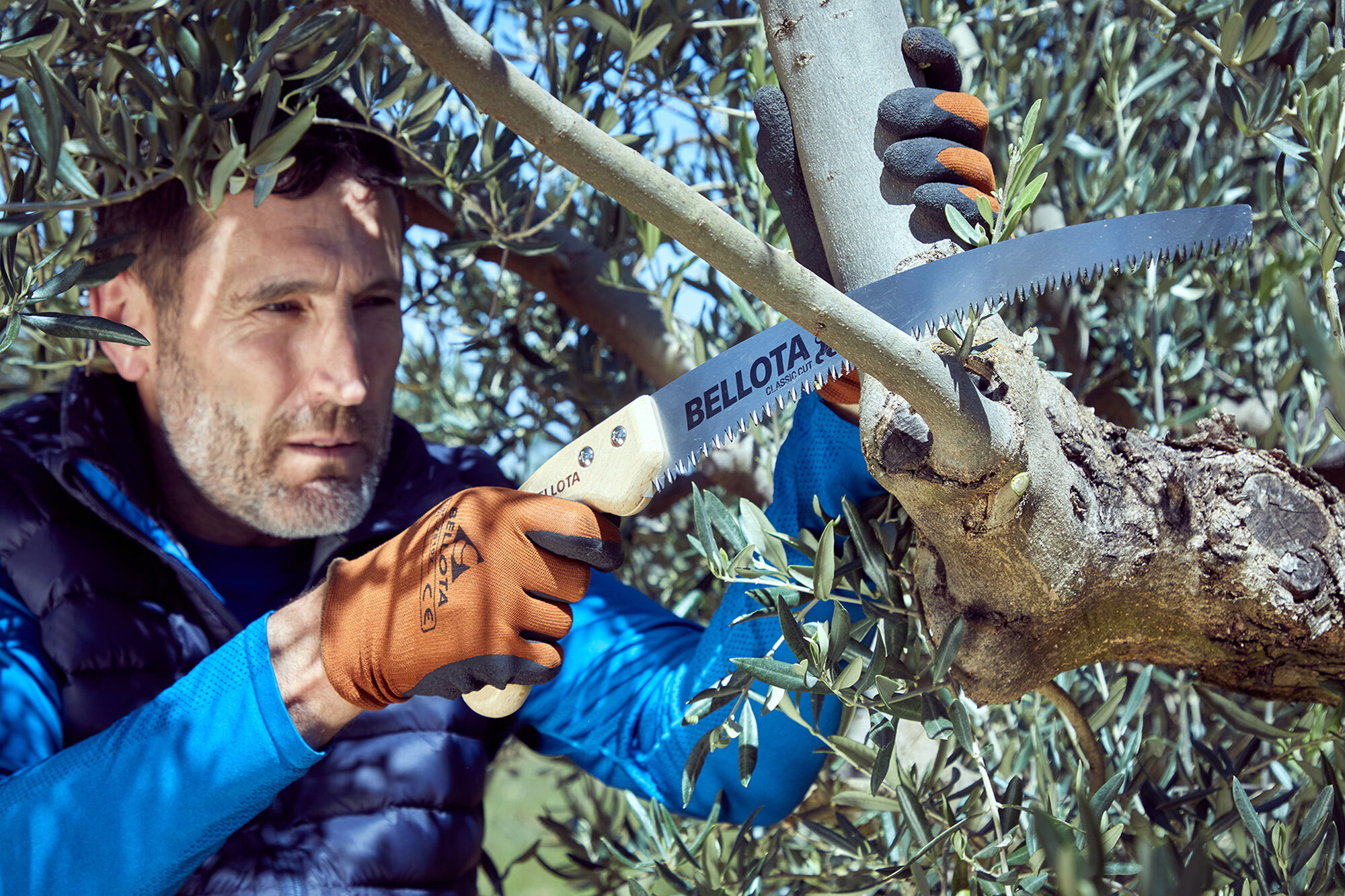 Serrucho León con hoja curva de 13" y mango de maderacurvo. No incluye funda / 450MC13SF