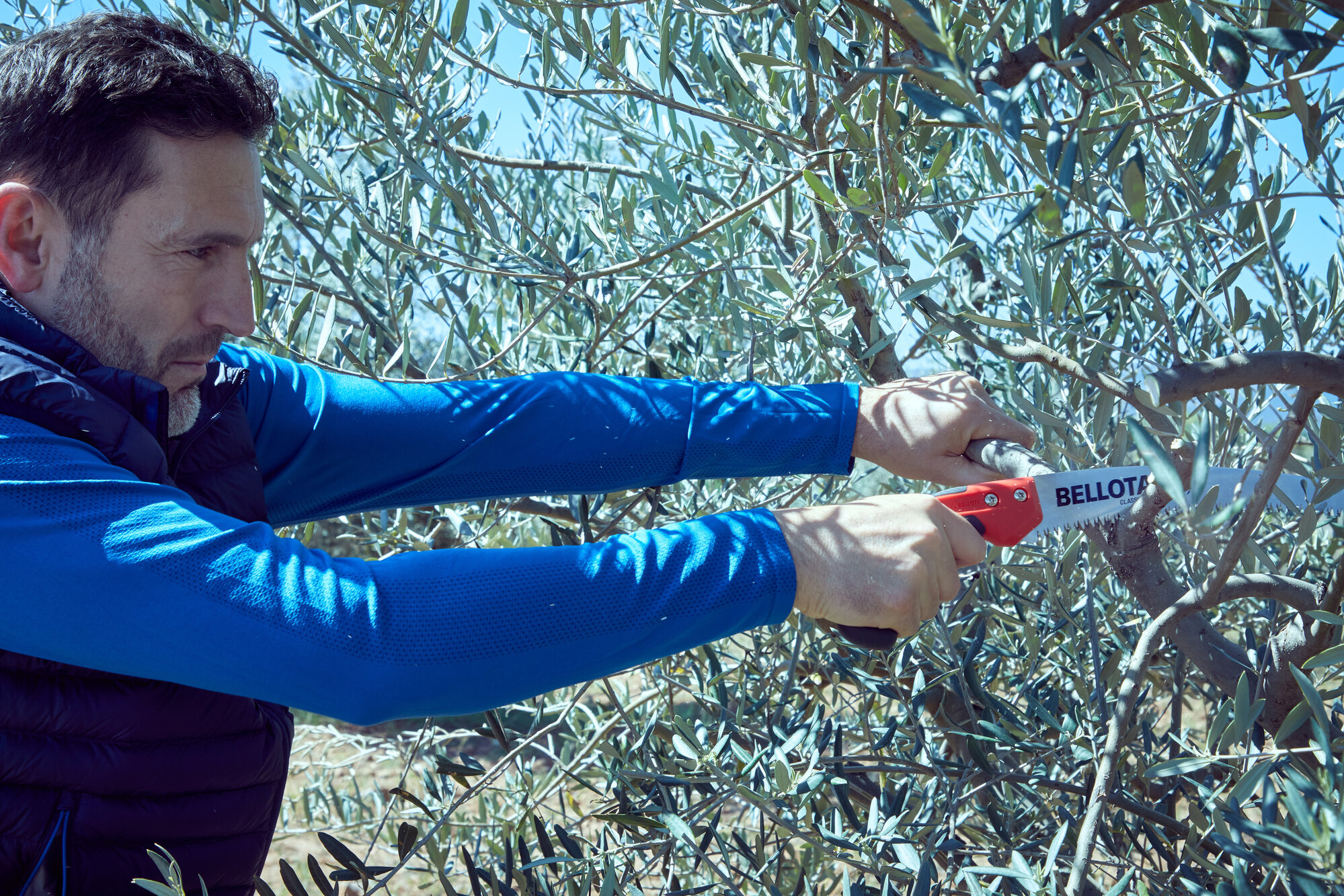 Serrucho León con hoja curva de 13" y mango de bimaterial recto. No incluye funda / 450BIMR13SF