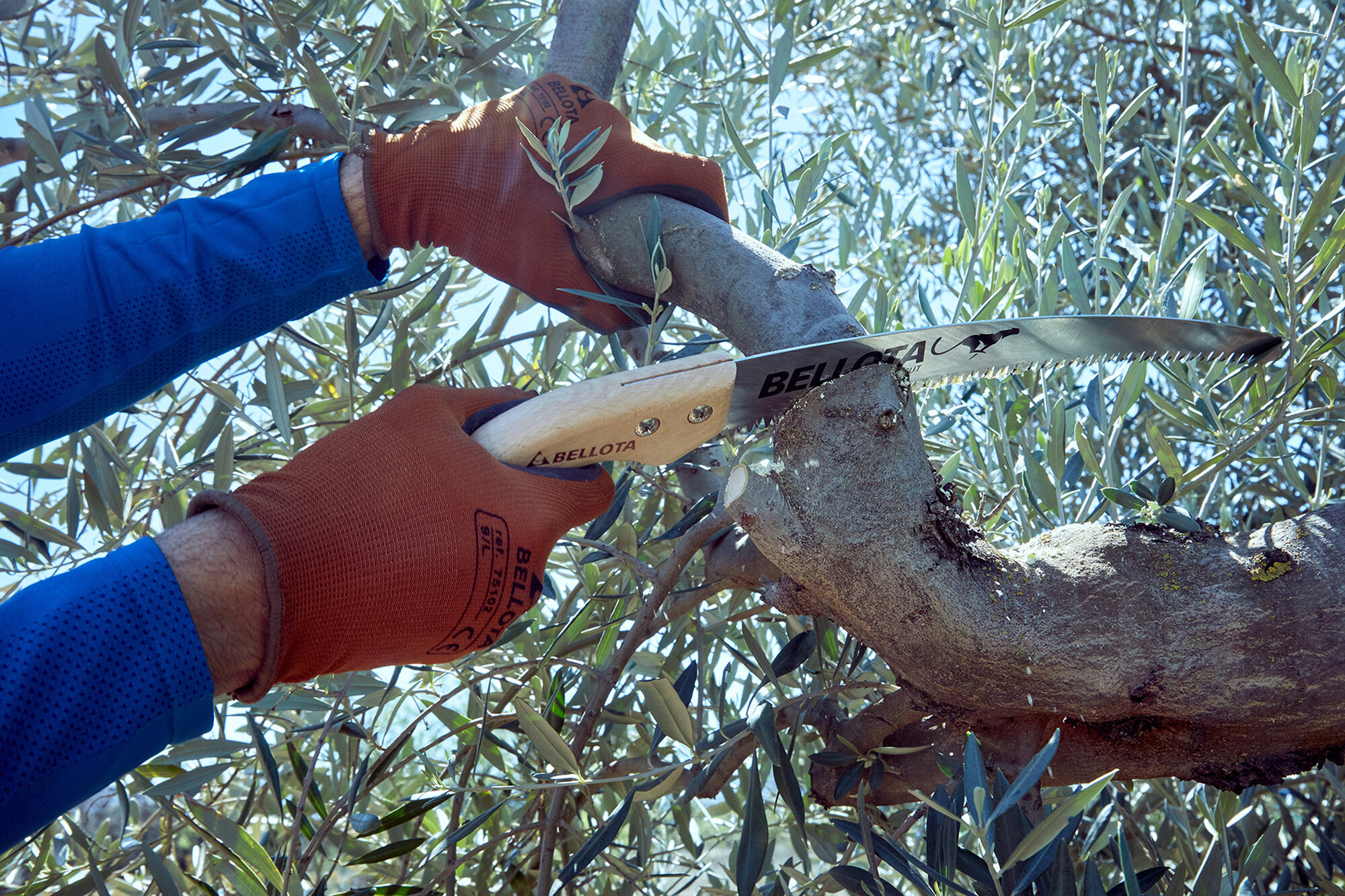 Serrucho Guepardo con hoja curva de 13" y mango de madera recto. Incluye funda / 454MR13