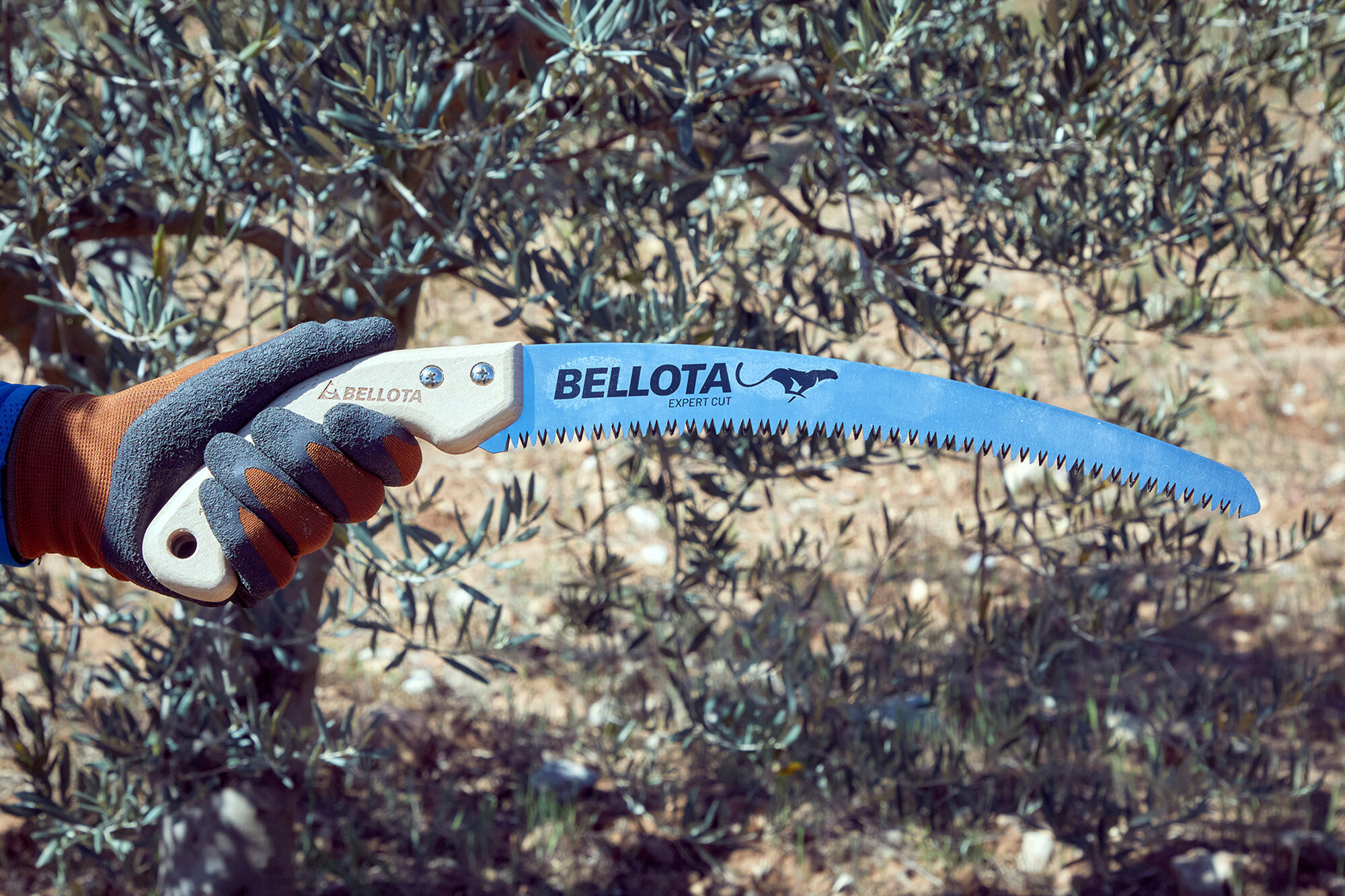 Serrucho Guepardo con hoja curva de 13" y mango de madera recto. No incluye funda / 454MR13SF