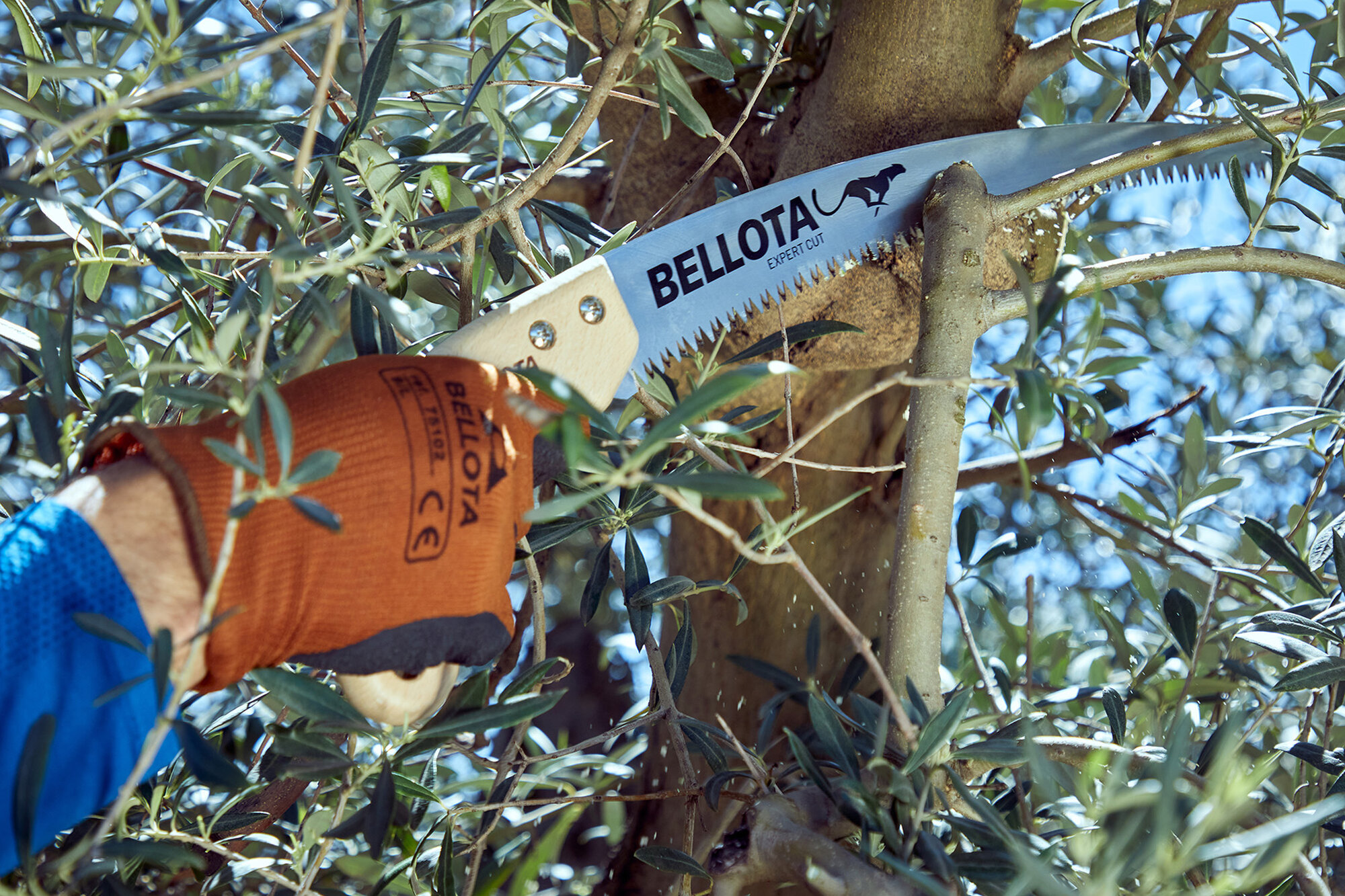 Serrucho Guepardo con hoja curva de 11" y mango de maderacurvo. Incluye funda / 454MC11