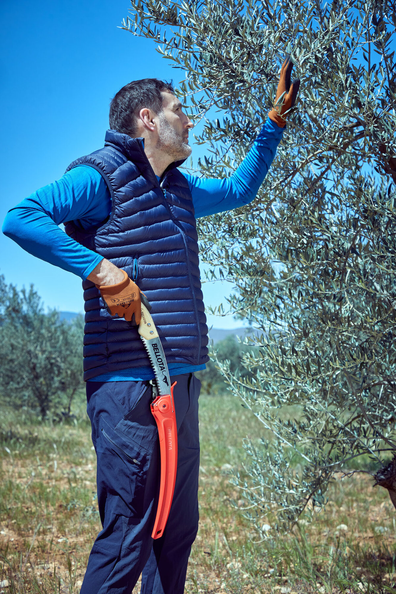 Serrucho Guepardo con hoja curva de 11" y mango de maderacurvo. Incluye funda / 454MC11