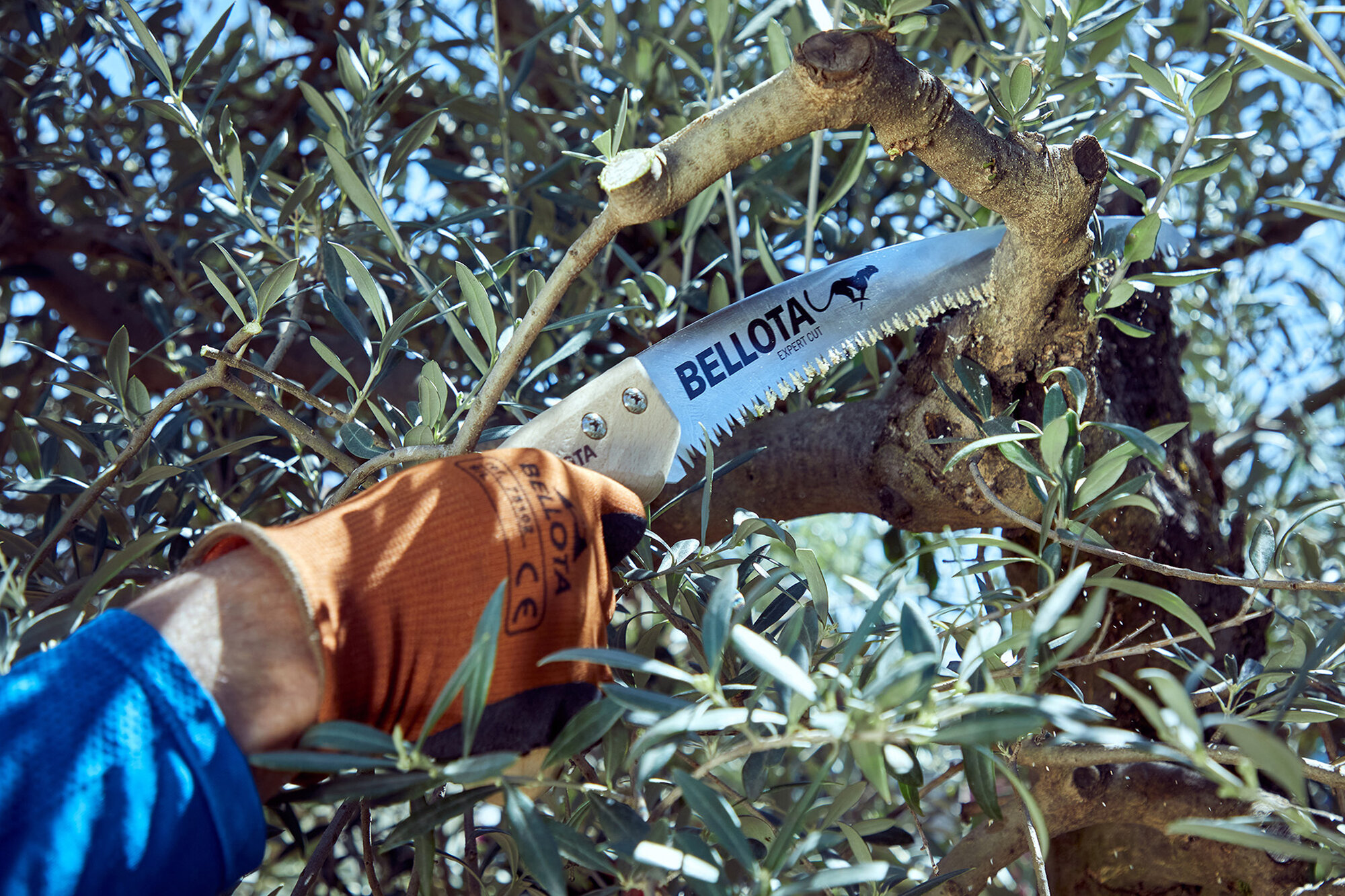 Serrucho Guepardo con hoja curva de 13" y mango de maderacurvo. Incluye funda / 454MC13