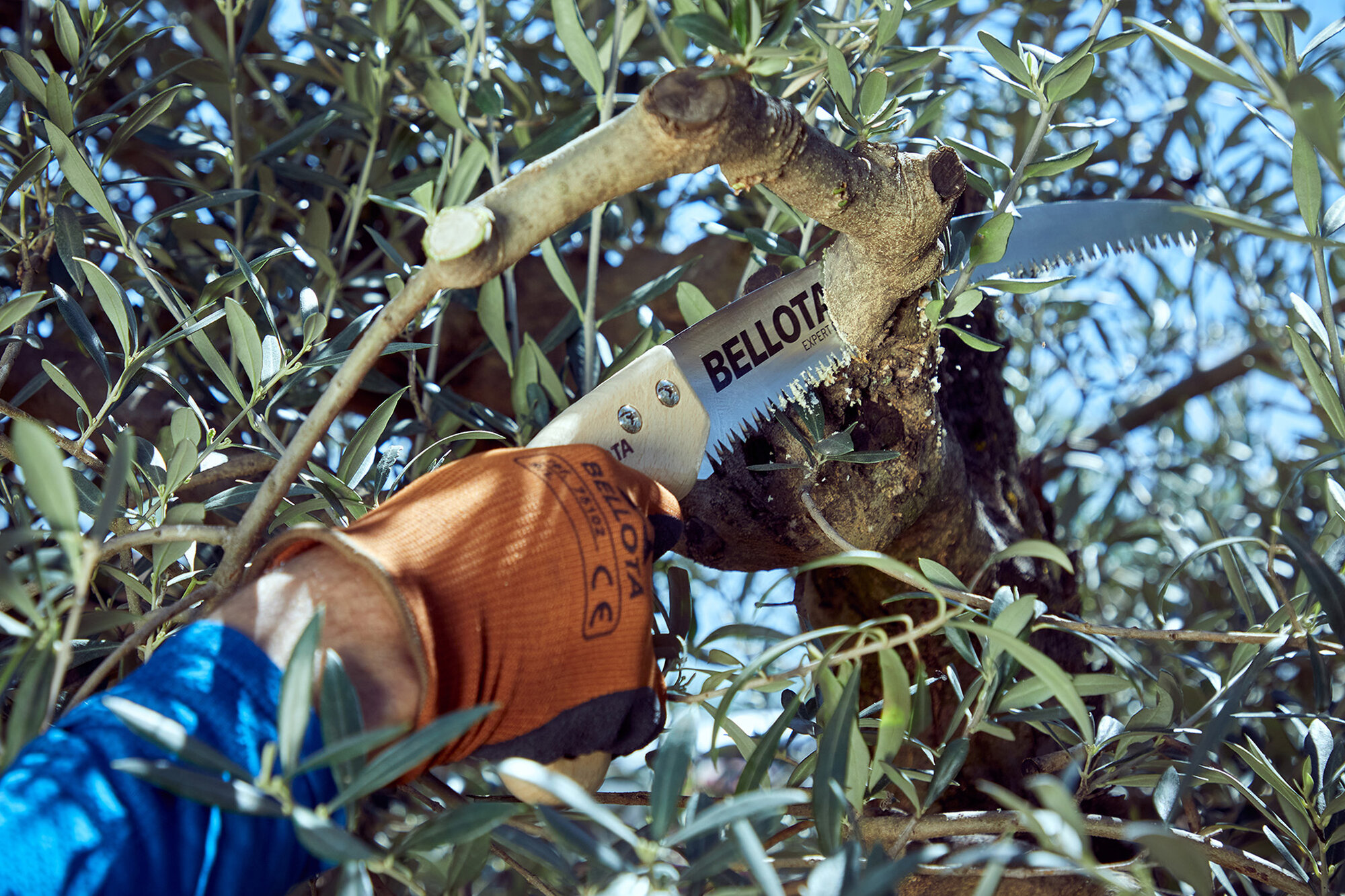 Serrucho Guepardo con hoja curva de 13" y mango de maderacurvo. No incluye funda / 454MC13SF