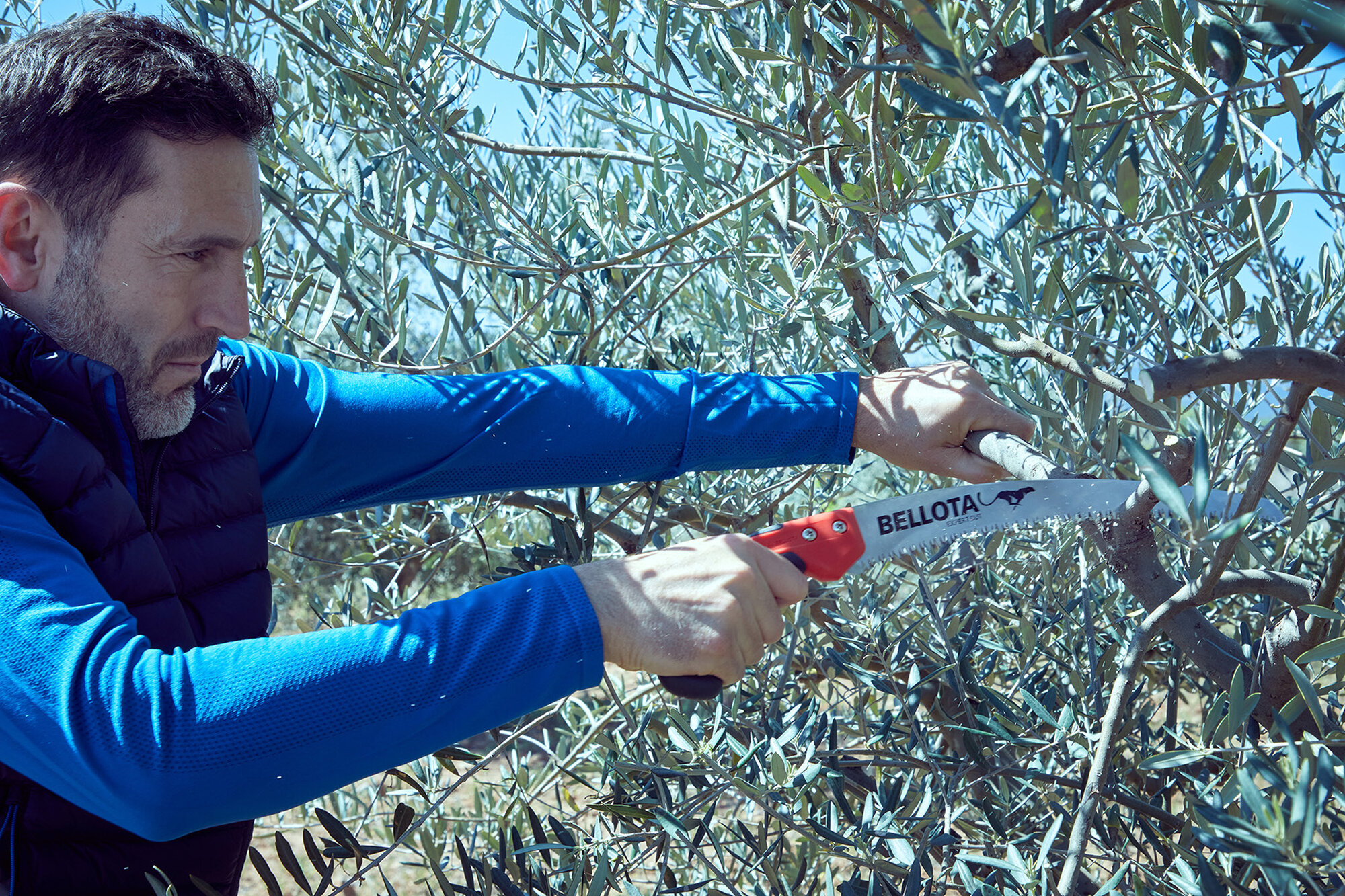 Serrucho Guepardo con hoja curva de 11" y mango de bimaterial recto. Incluye funda / 454BIMR11