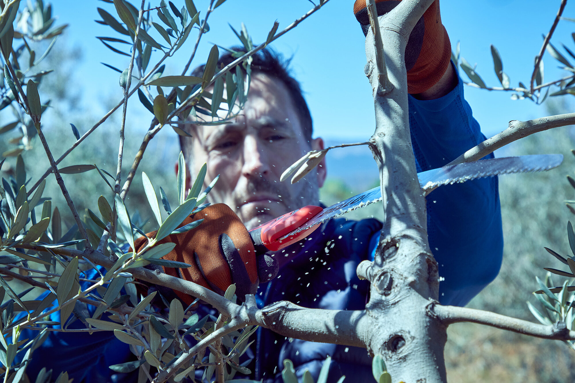 Serrucho Guepardo con hoja curva de 11" y mango de bimaterial recto. Incluye funda / 454BIMR11