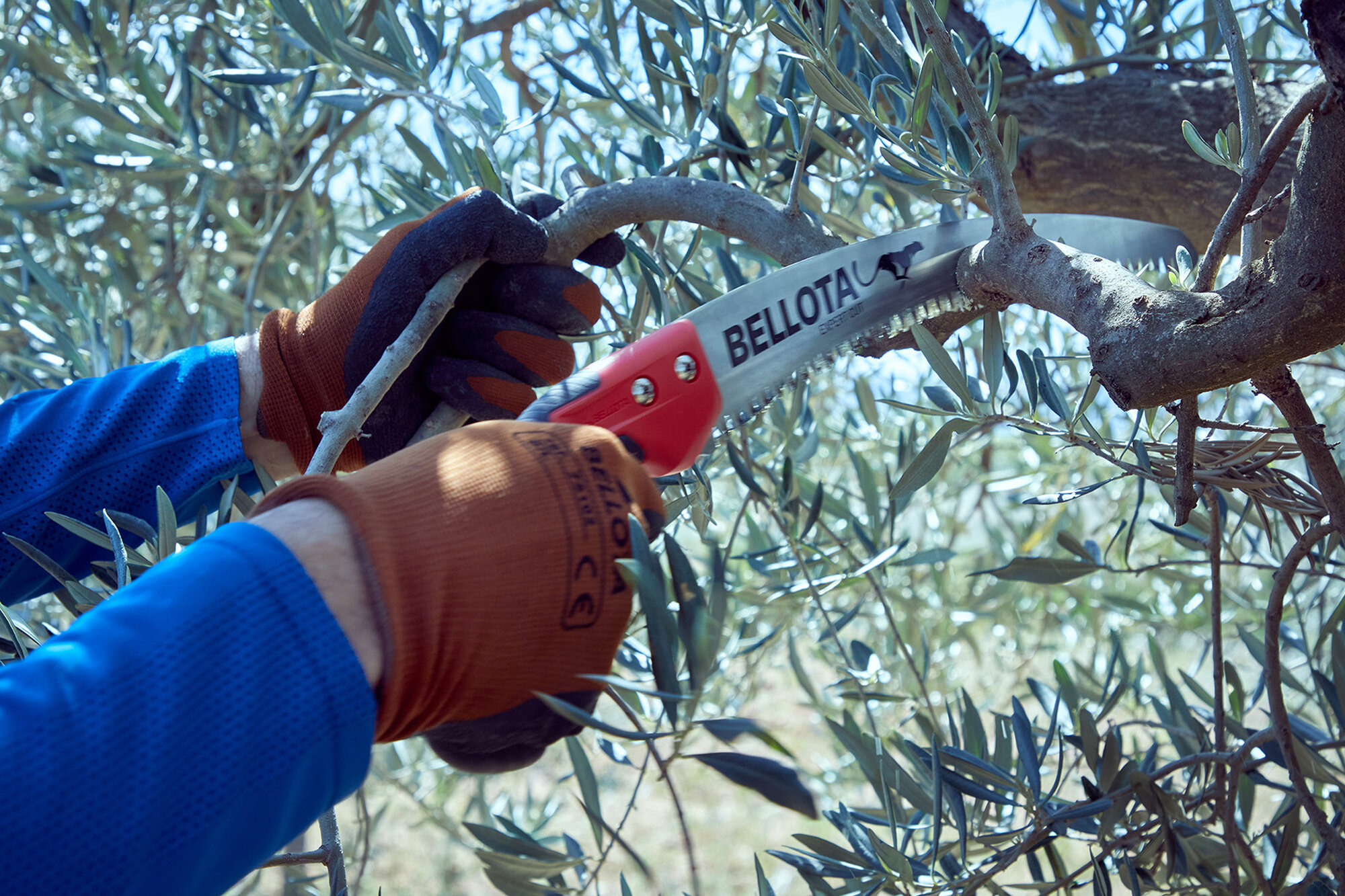 Serrucho Guepardo con hoja curva de 11" y mango de bimaterial recto. Incluye funda / 454BIMR11