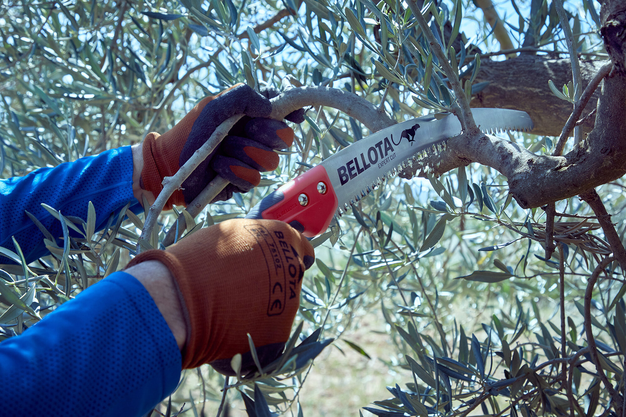 Serrucho Guepardo con hoja curva de 13" y mango de bimaterial recto. No incluye funda / 454BIMR13SF