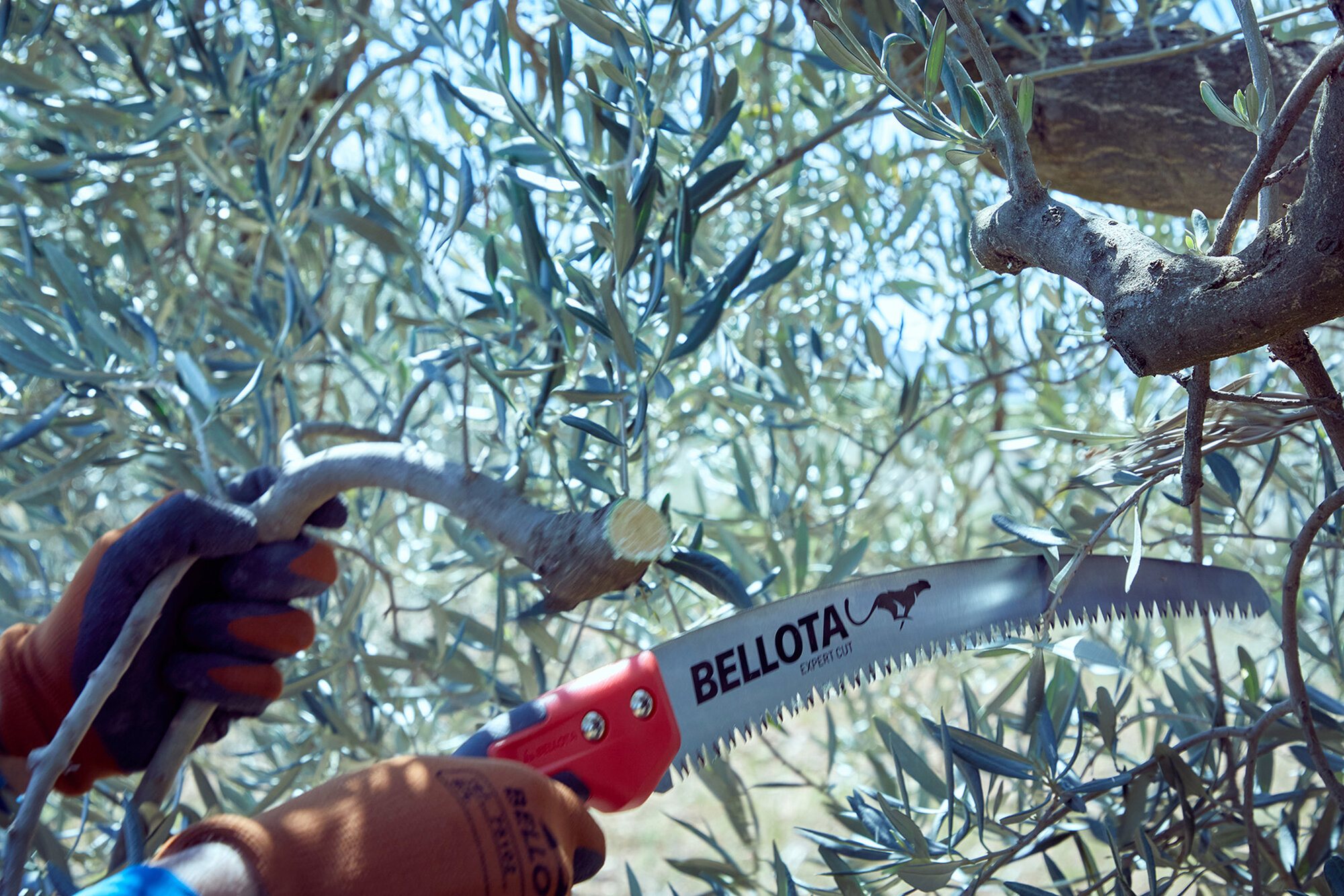 Serrucho Guepardo con hoja curva de 13" y mango de bimaterial recto. No incluye funda / 454BIMR13SF