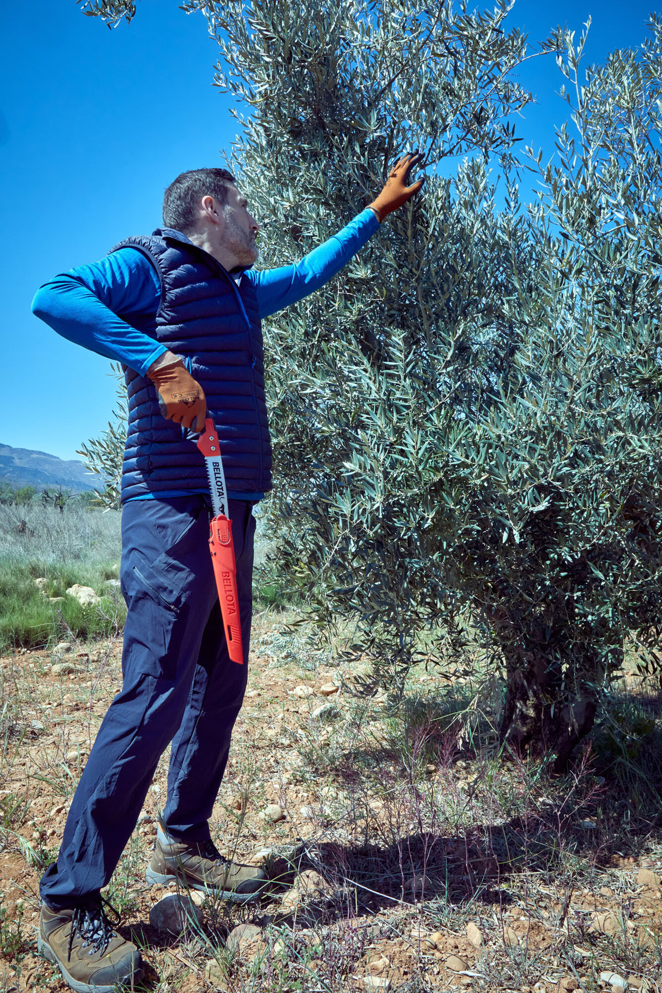 Serrucho Guepardo con hoja recta de 9" y mango bimaterial recto. Incluye funda / 45RBIMR9