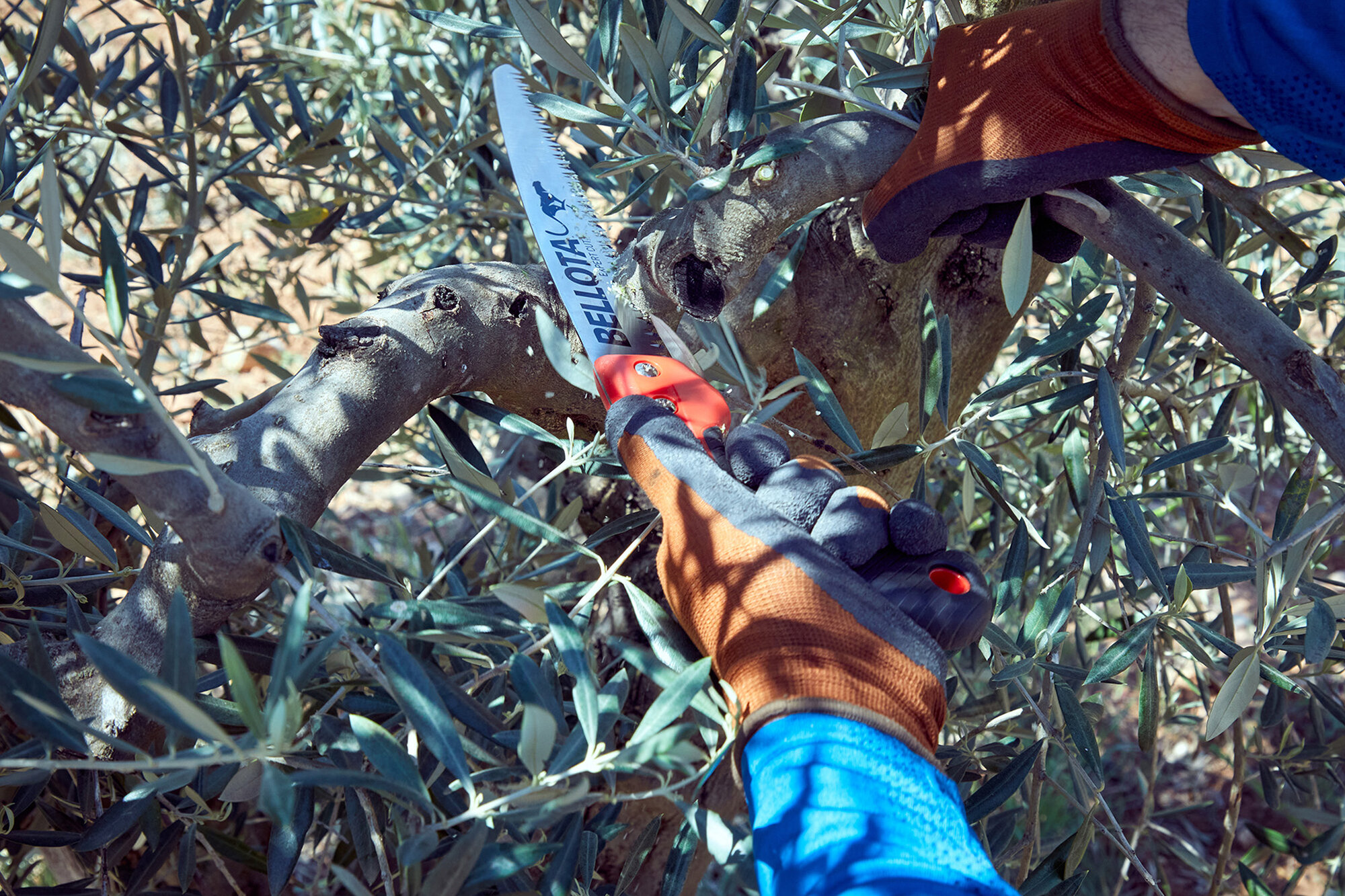 Serrucho Guepardo con hoja recta de 12" y mango de bimaterial recto. Incluye funda / 45RBIMR12