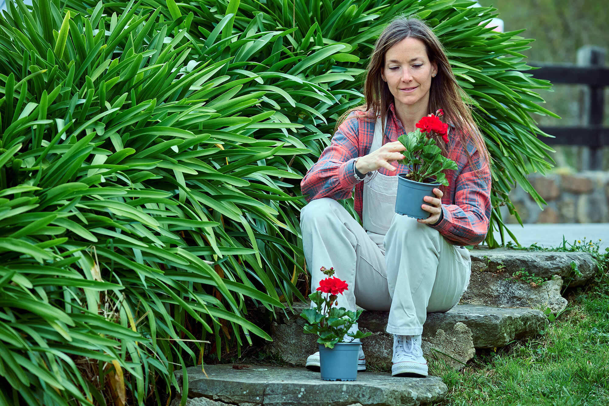 Trasplantador de aluminio con mangos ergonómicos / HMC1000