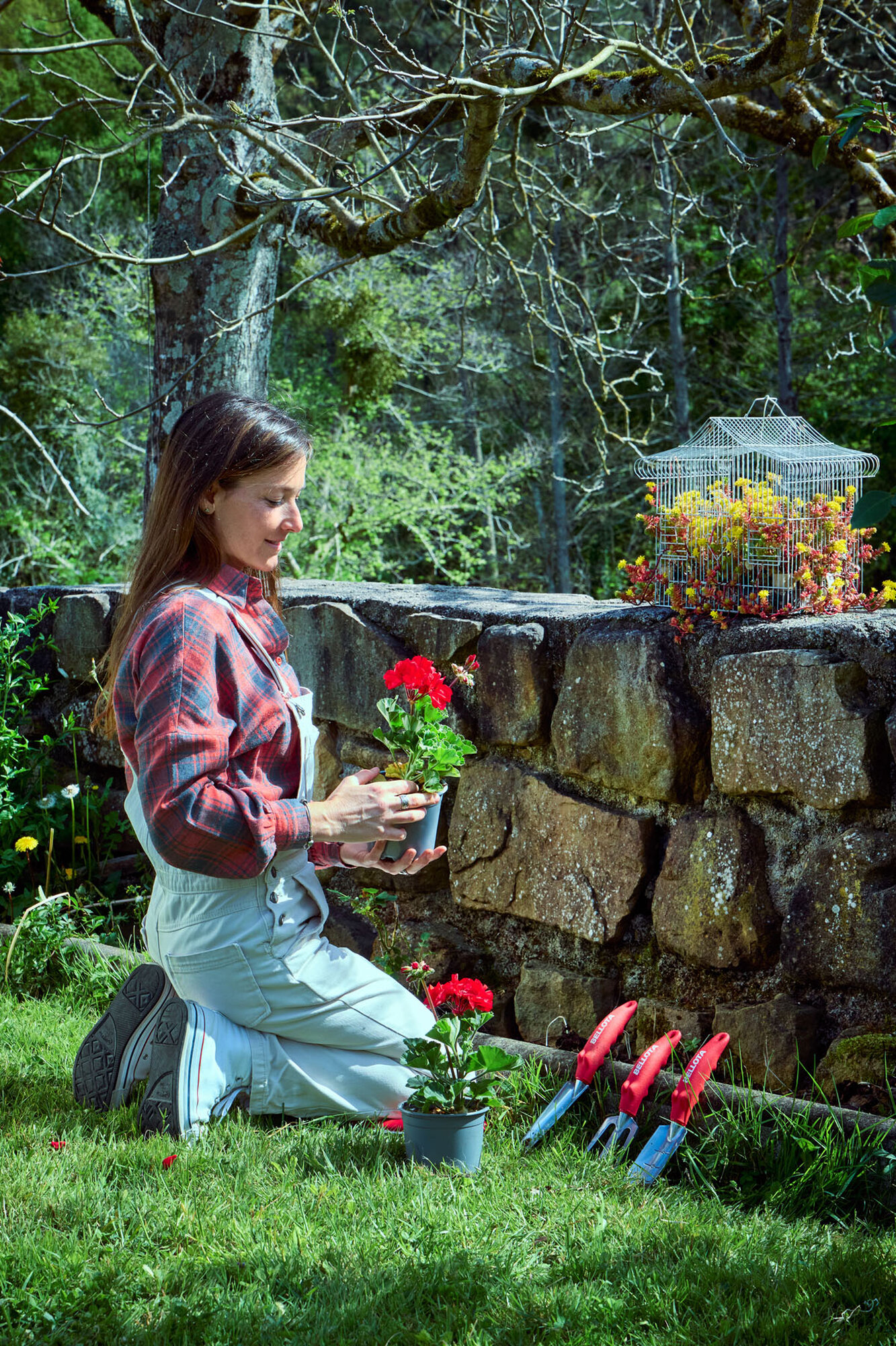 Trasplantador estrecho de aluminio con mangos ergonómicos / HMC1000