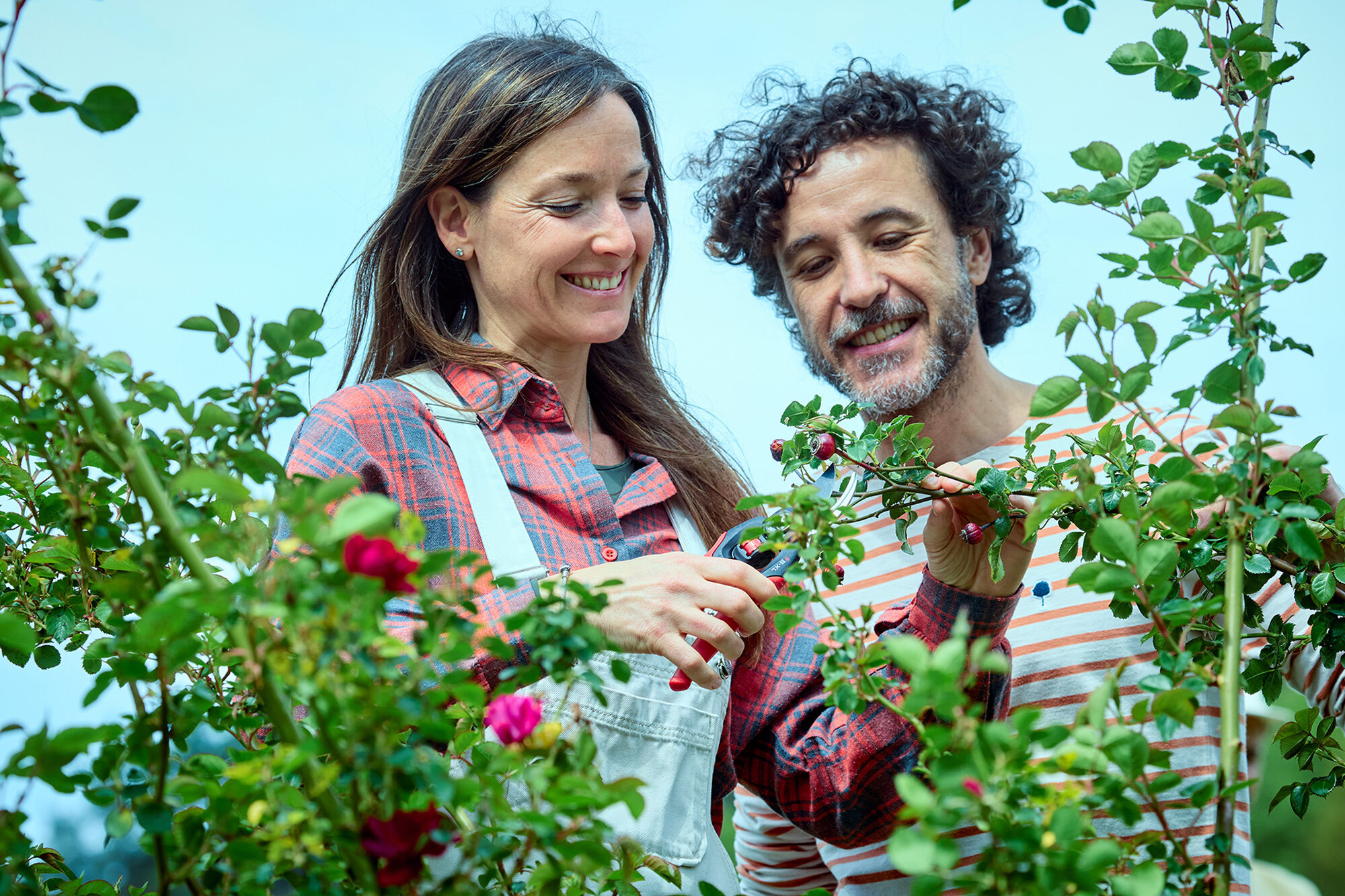 Tijera de una mano FlexDial mangos ComfortGel / 3412