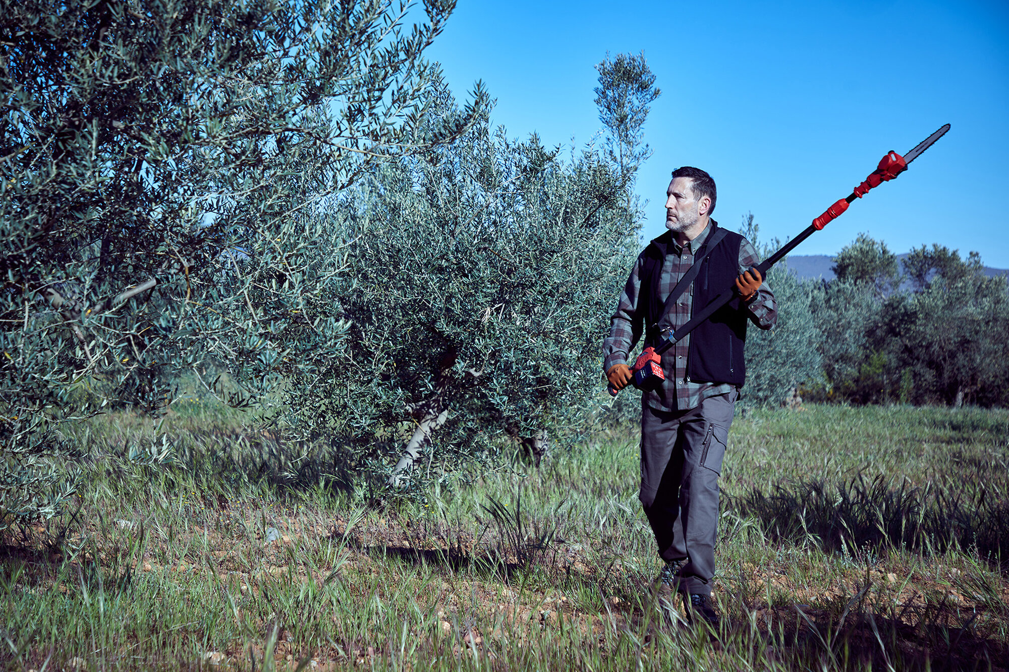 Motosierra pértiga a batería 210mm de corte / ECSP1210P