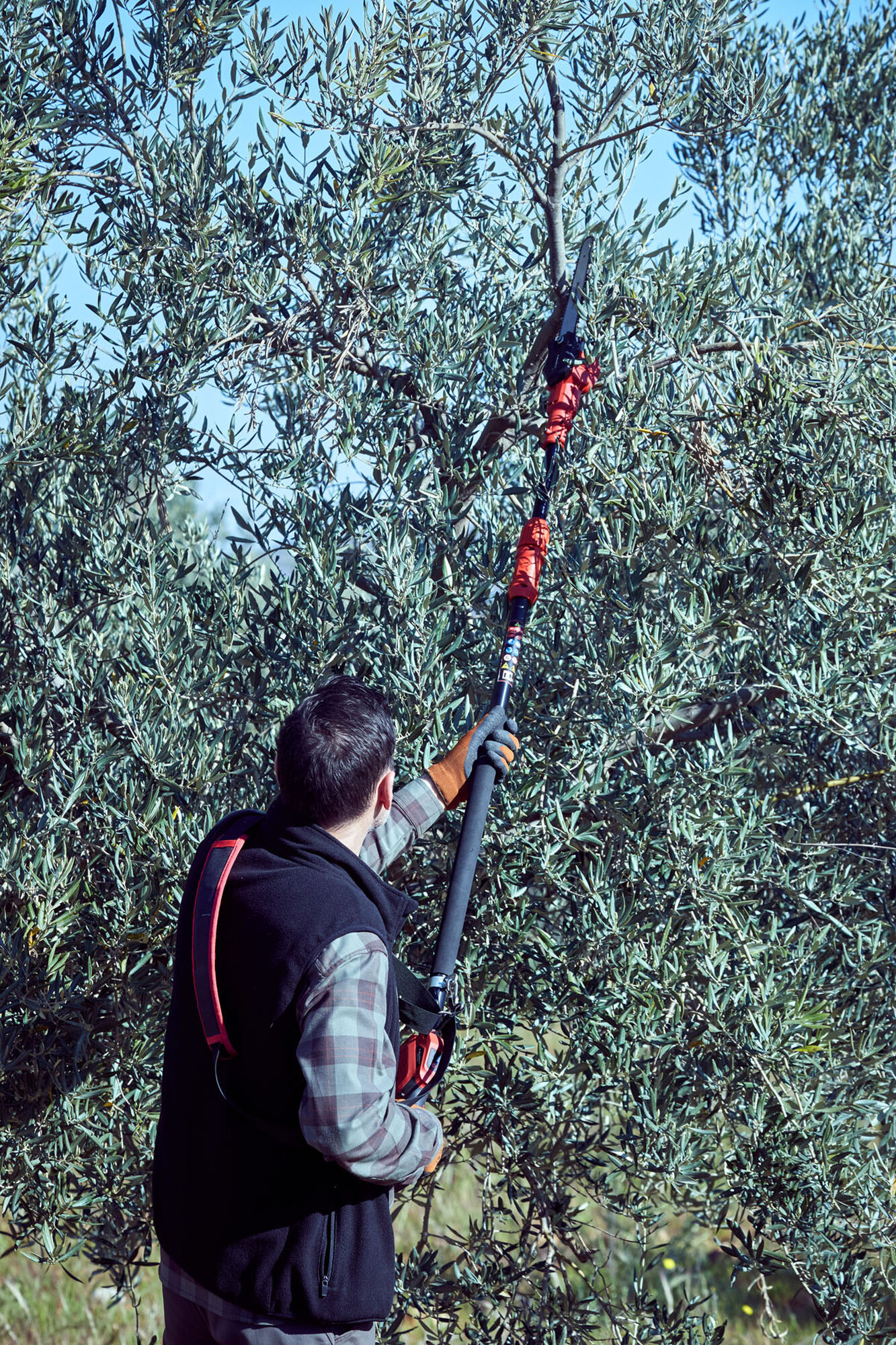 Motosierra pértiga a batería 210mm de corte / ECSP1210P