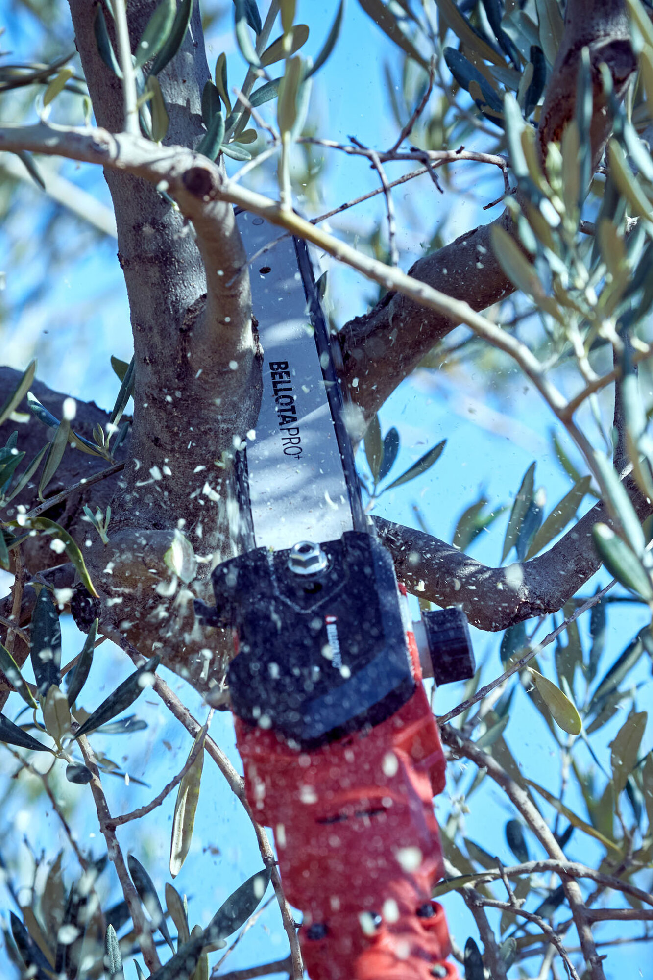 Motosierra pértiga a batería 210mm de corte / ECSP1210P