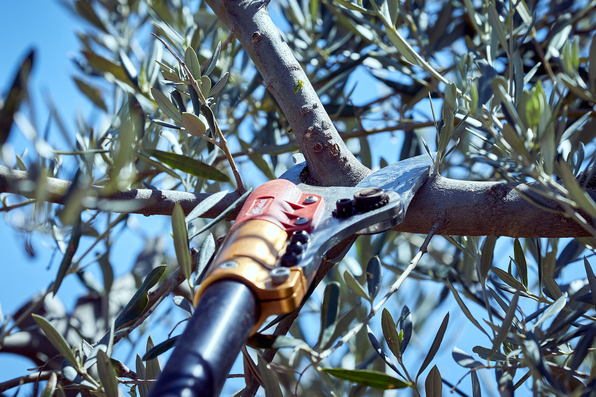 Tijera pértiga a batería 40mm de corte / EPRP140P